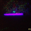 blacklight